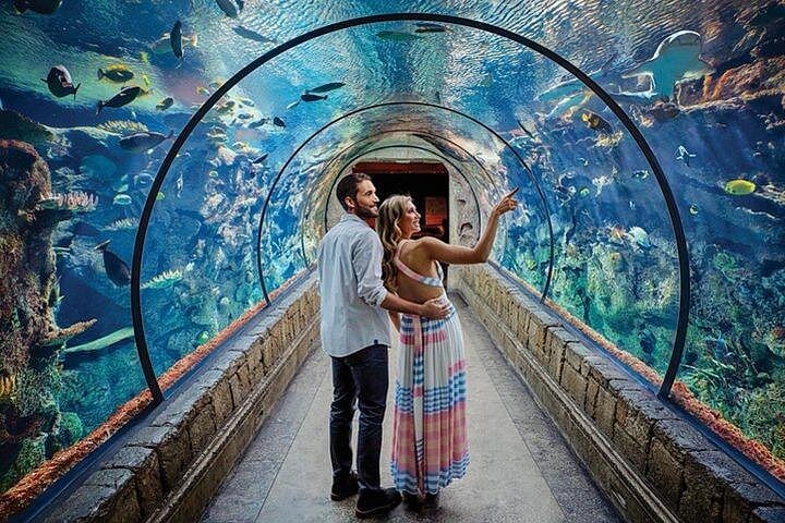 Shark Reef at Mandalay Bay